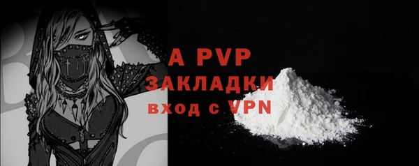 спиды Абаза