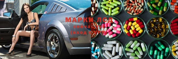 гидропоника Алзамай