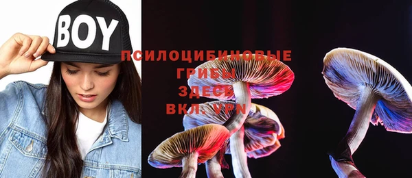 кокс Алексеевка