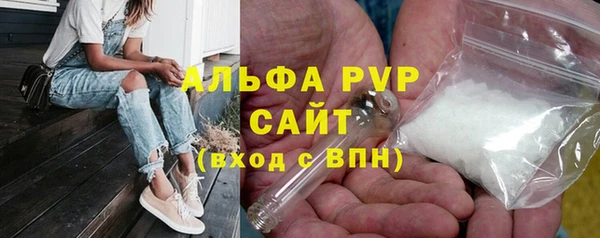 кокс Касимов