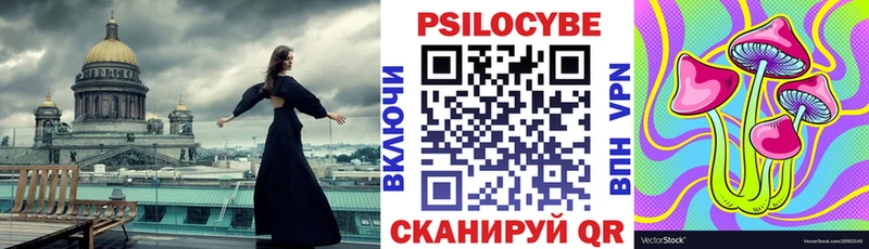 ОМГ ОМГ tor  Усмань  Галлюциногенные грибы GOLDEN TEACHER 